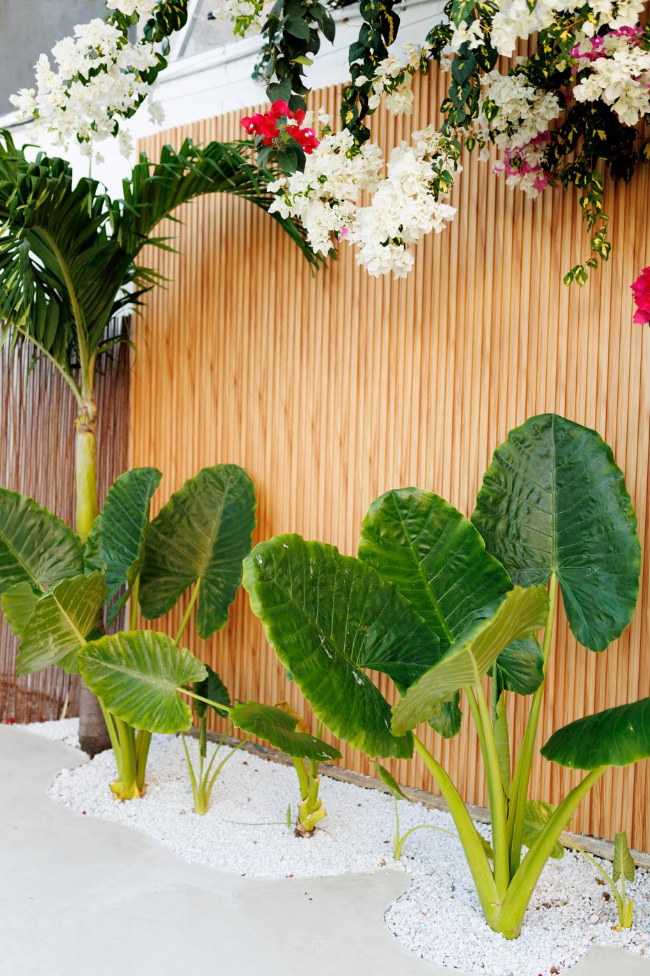 Painel ripado com plantas