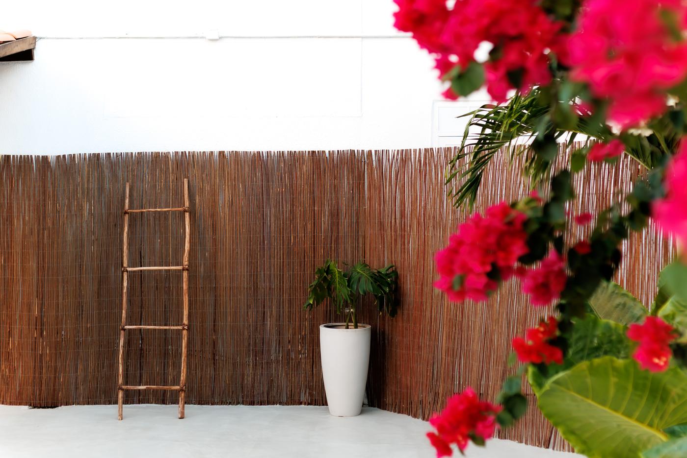 Cenário com plantas tropicais e painel ripado