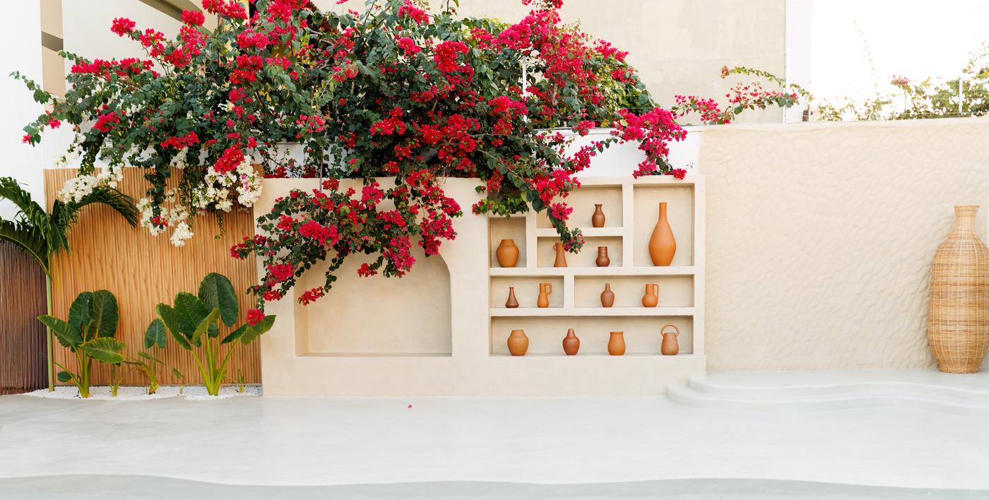 Fachada mediterrânea com buganvílias