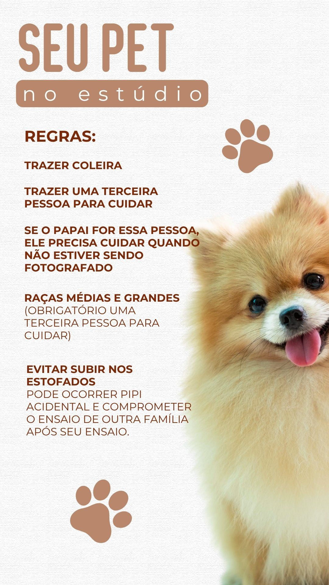 Regras para pets no estúdio