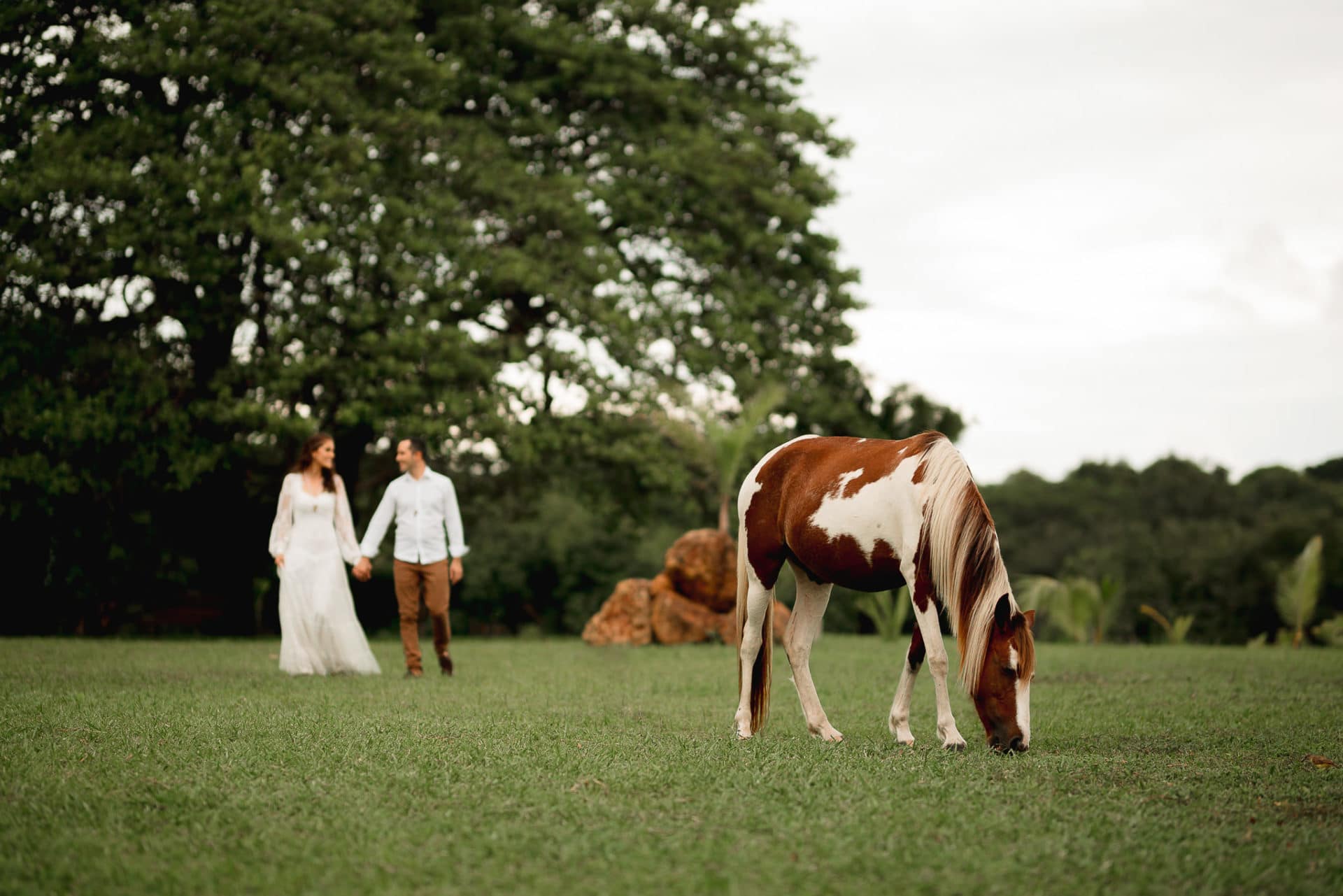 Ensaio Casal na Fazenda